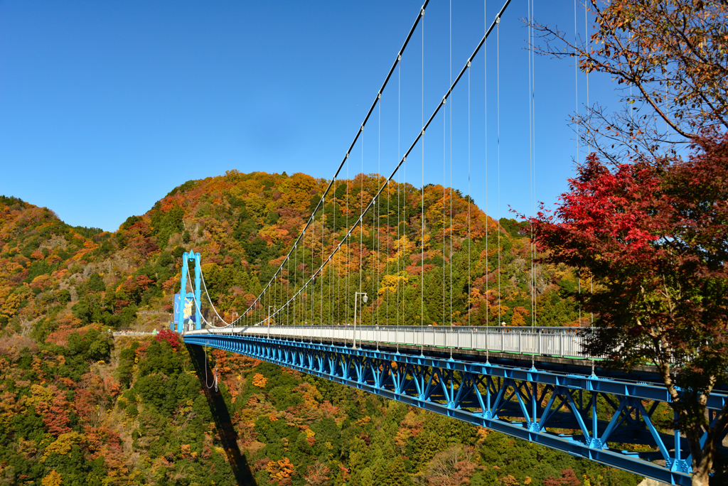 竜神大吊り橋
