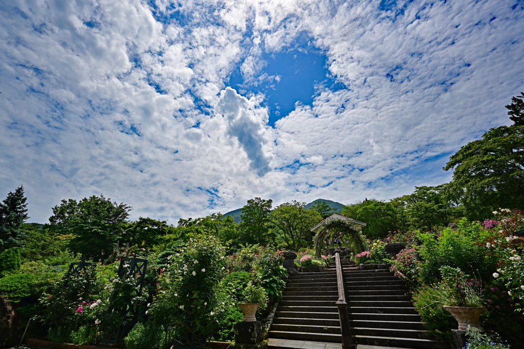 強羅公園（ローズガーデン）