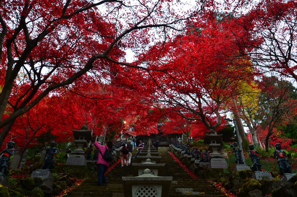 天まで届く紅葉