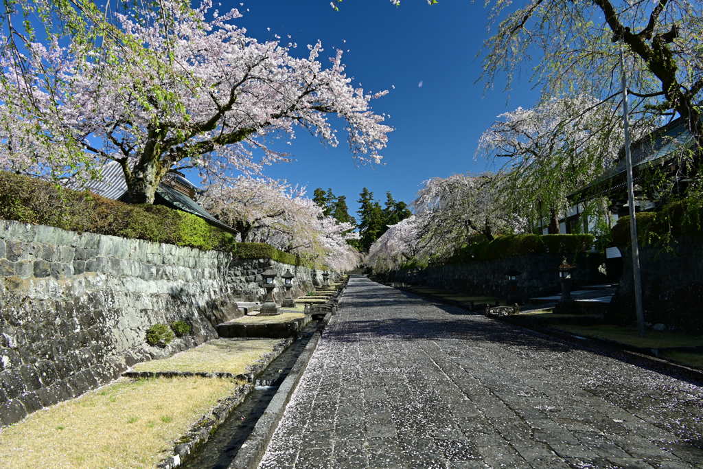 また来年