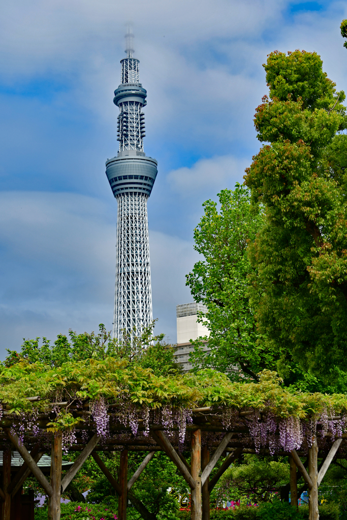 そこからも見えるかなー