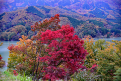 草木湖