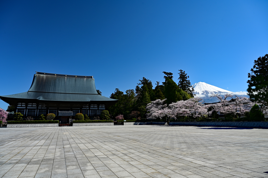 大石寺と富士山