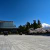 大石寺と富士山