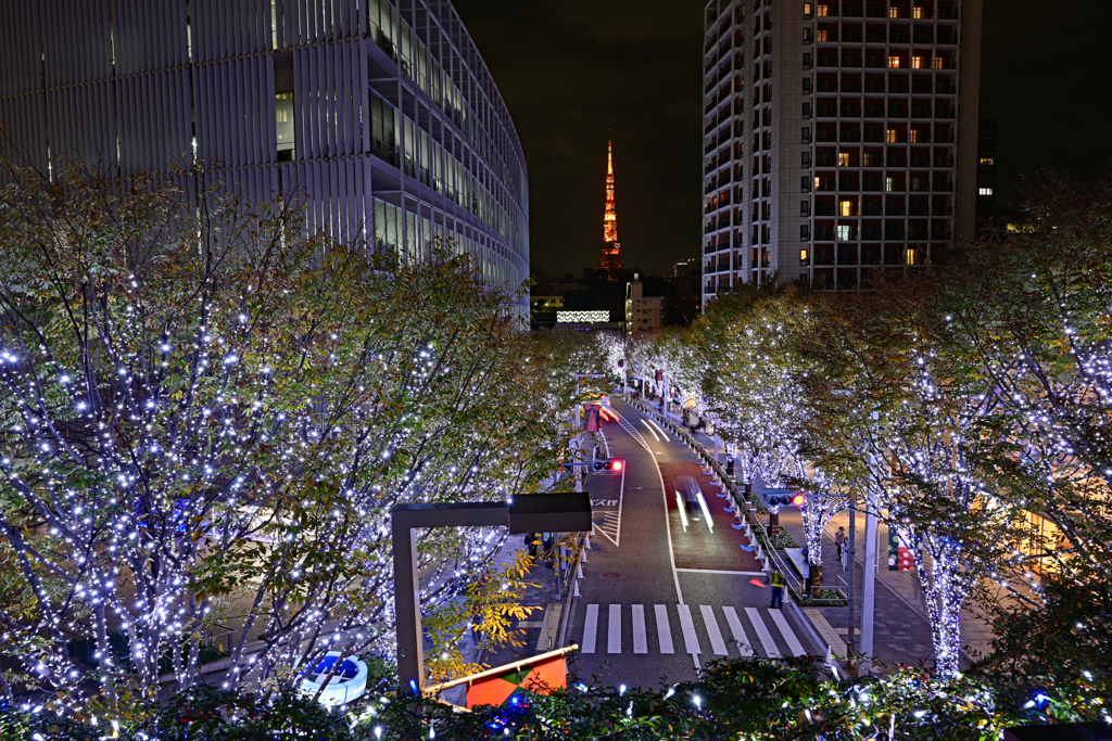 六本木　乃木坂イルミネーション