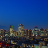 夜景　1