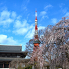タワーとコラボ