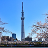 東京スカイツリー