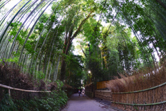 竹林