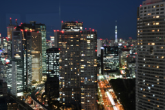 スカイツリーを望む