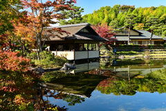 秋深し