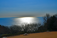光る湘南海岸