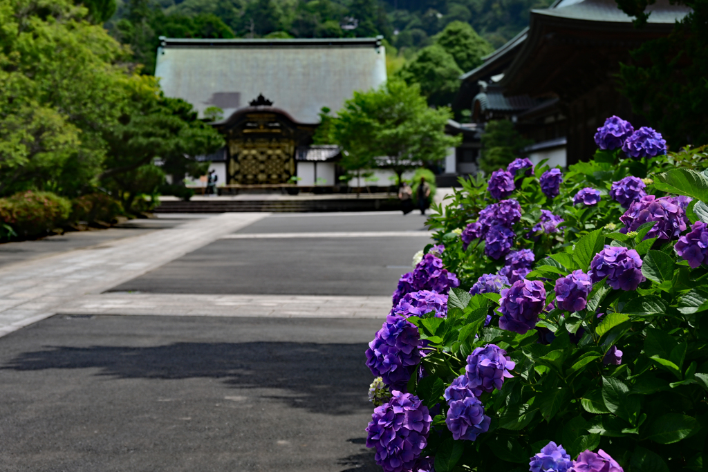 建長寺