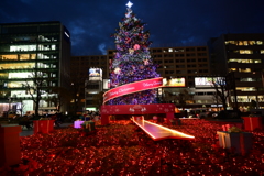 青山　avexのクリスマスツリー