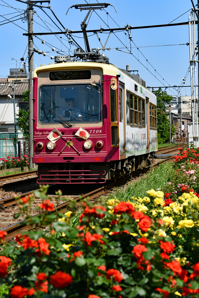 荒川線　町屋駅近く