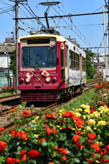 荒川線　町屋駅近く