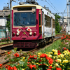 荒川線　町屋駅近く