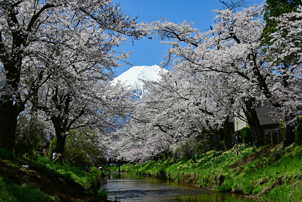 新名庄川