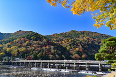 渡月橋