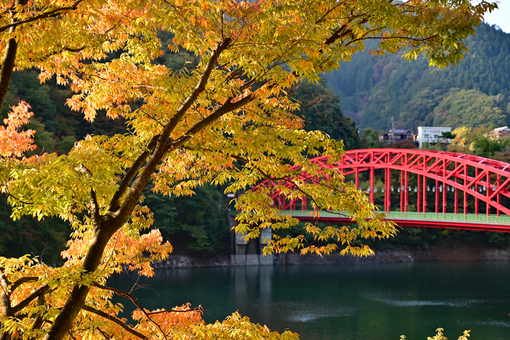 峰谷橋紅葉