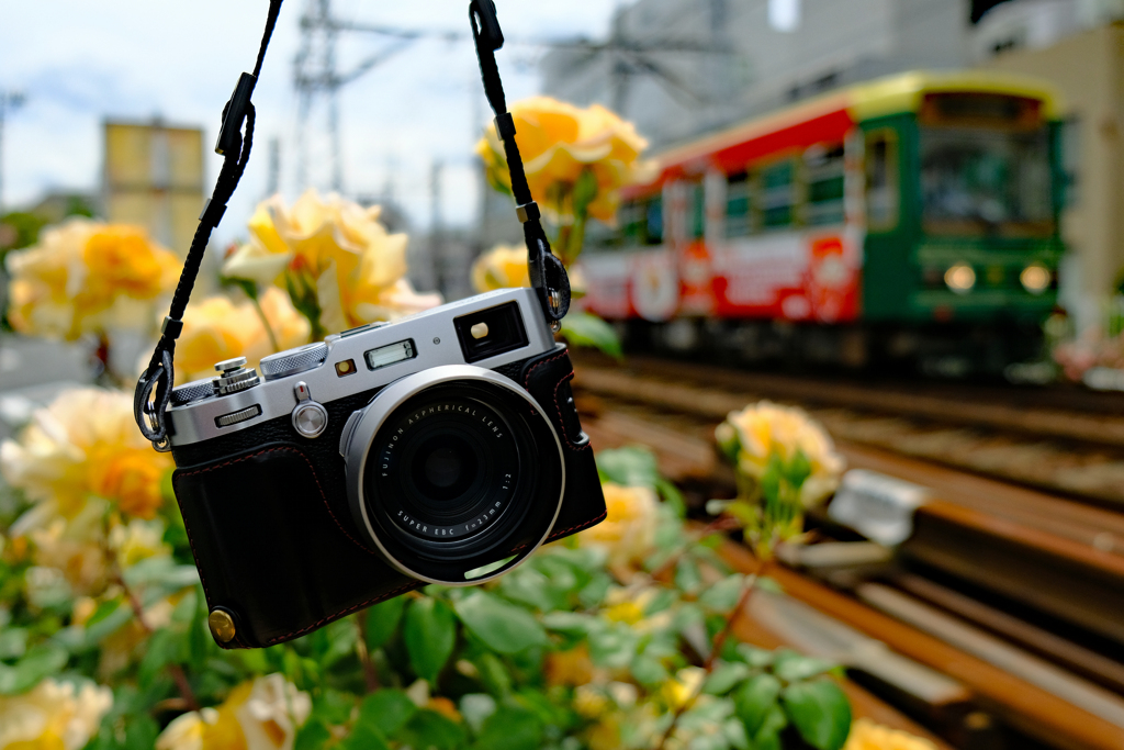 X100Fと薔薇と都電と