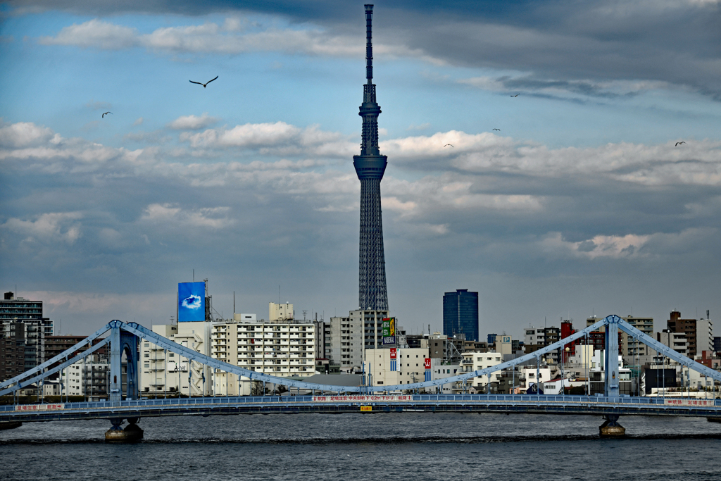 清州橋とスカイツリー