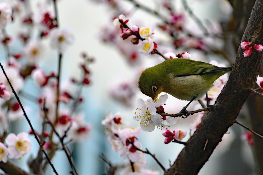 ウーン　うまい　朝はこれに限るなー