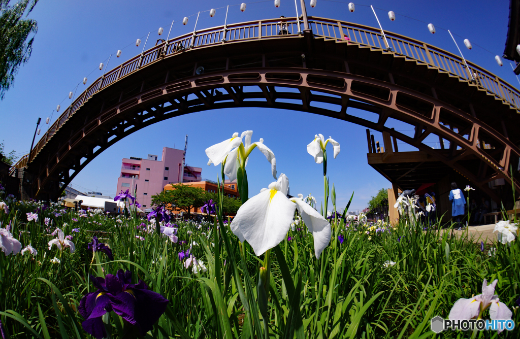 上から見えるー