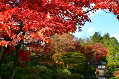 日光　逍遥園紅葉