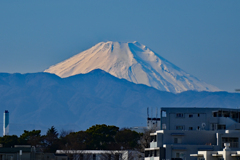 都会の富士山