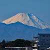 都会の富士山