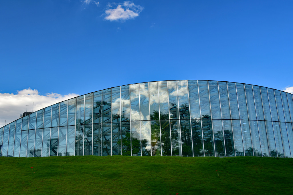 新宿御苑　温室