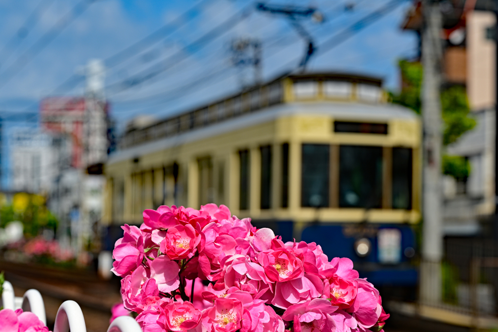 都電荒川線