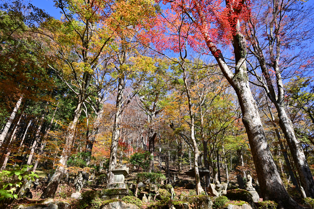 長安寺（仙石原）