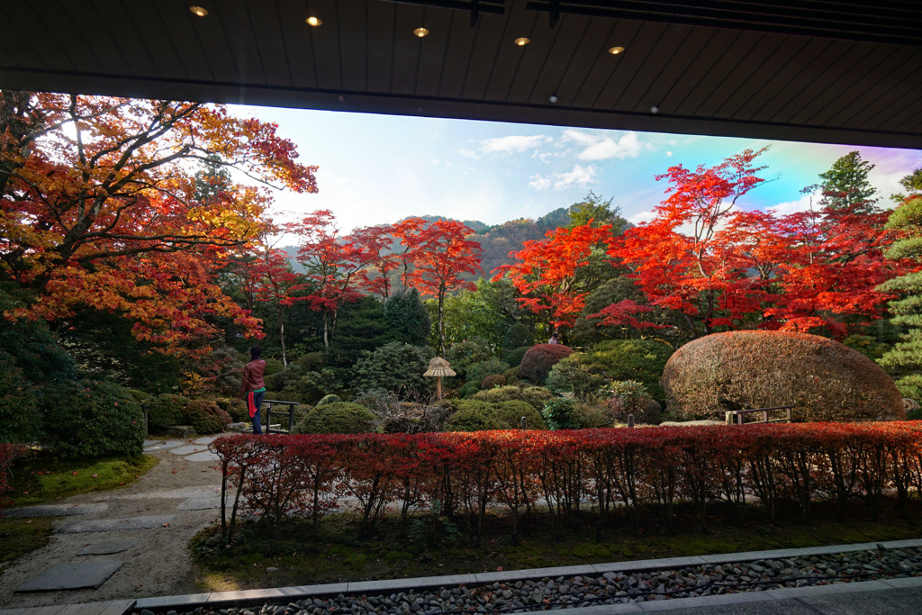 窓の外は紅葉