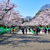 上野公園