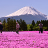 芝桜と富士山