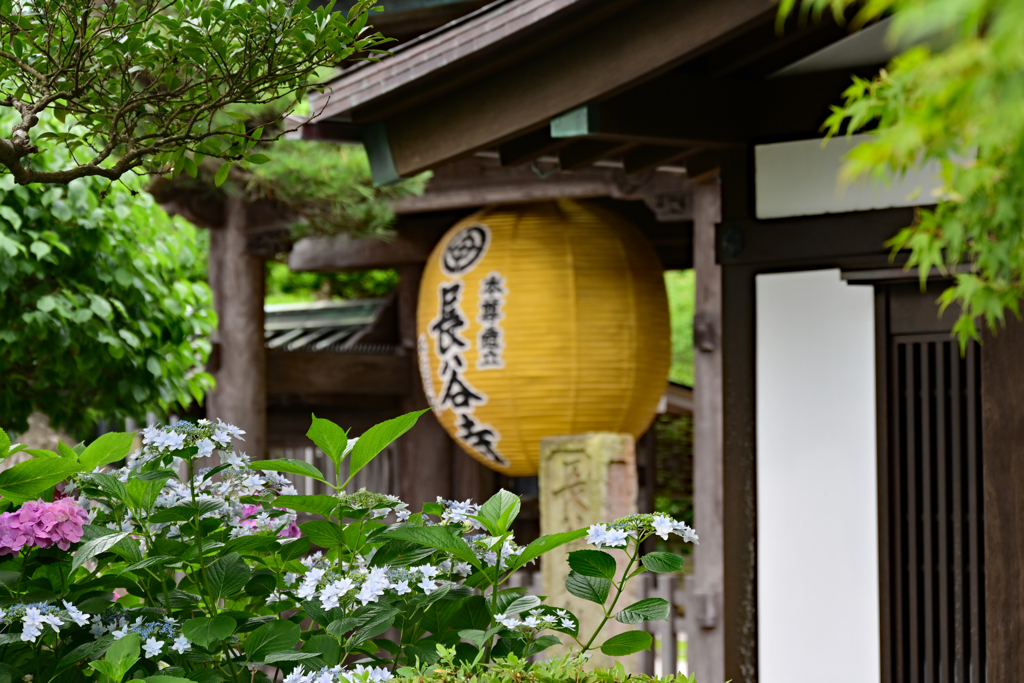 長谷寺