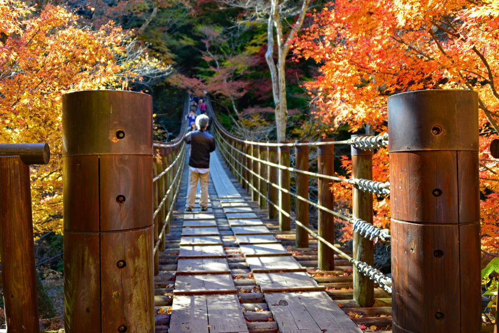 紅葉に架かるつり橋