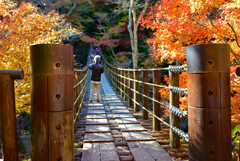 紅葉に架かるつり橋