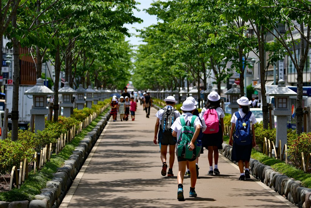 段葛　この後何処に行く