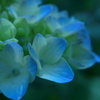 少しずつ…。