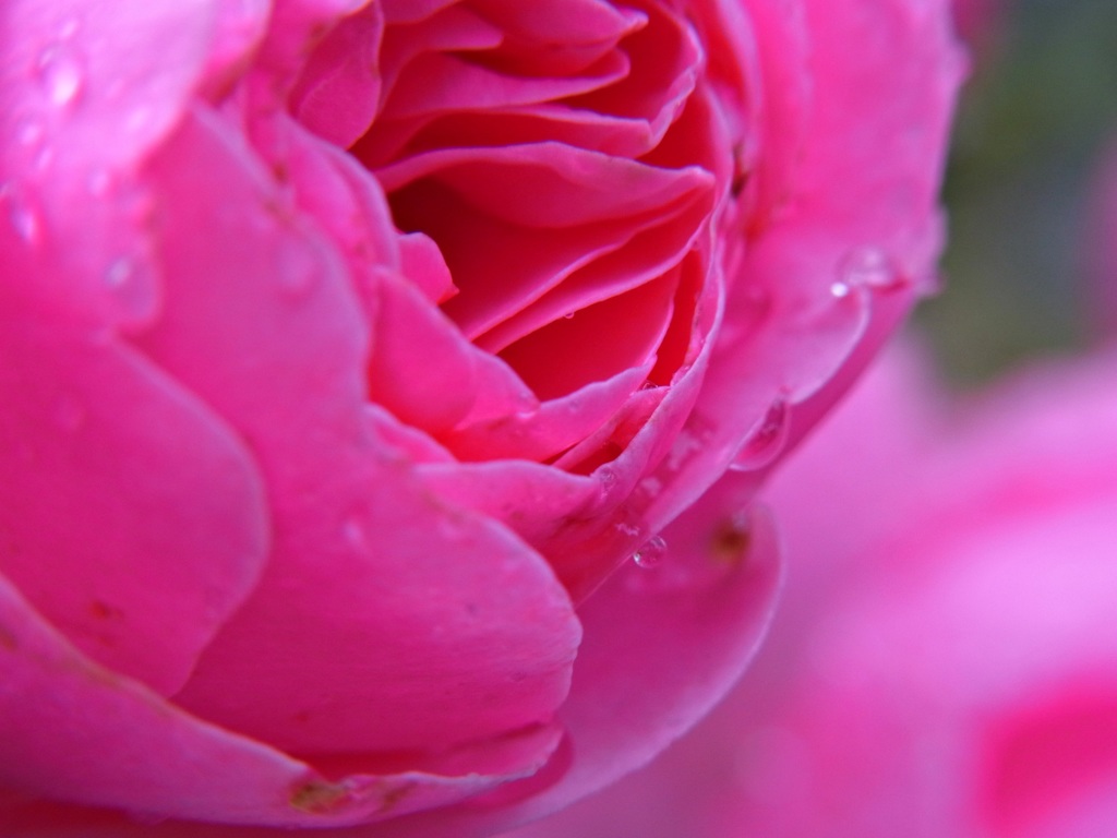 恵みの雨