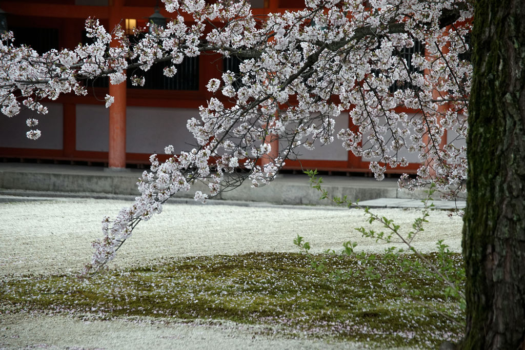 平安神宮１