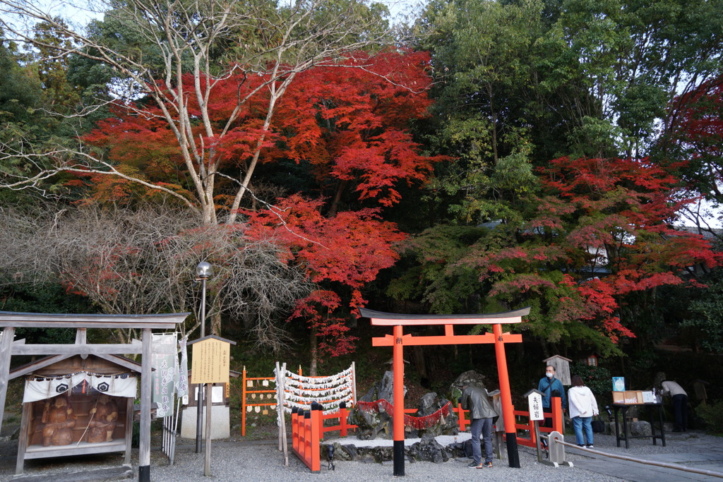 亀岡　出雲大神宮にて