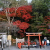 亀岡　出雲大神宮にて