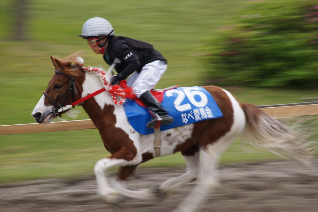  いなべ草競馬２