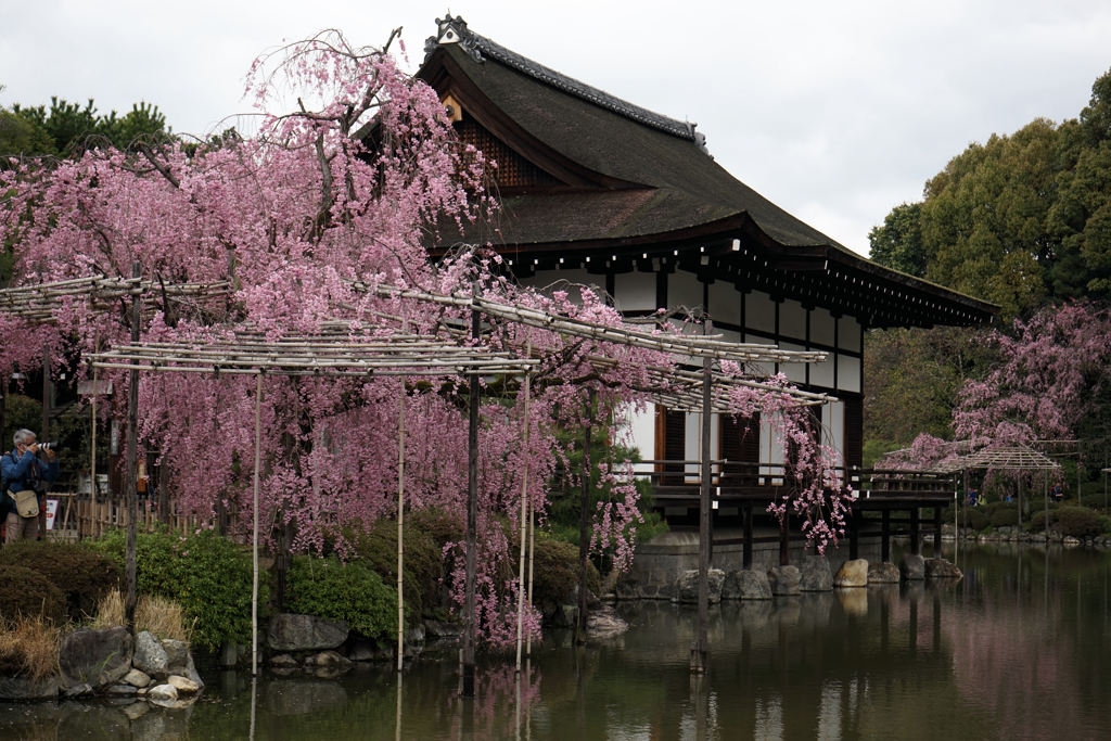 平安神宮４