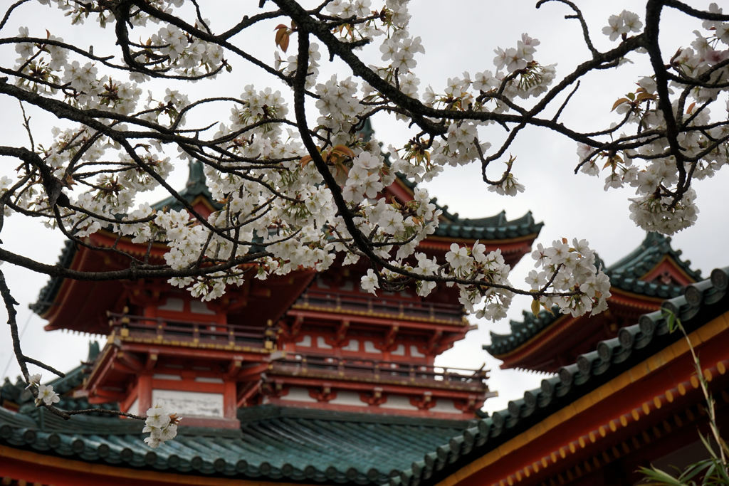 平安神宮２