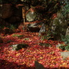 紅葉のクライマックス６